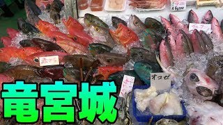 沖縄の『秘密の場所』の市場に並んでる魚の値段がヤバかった。