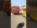 #saurabh blogar 44#daily #vlog #new #viral #shorts #video