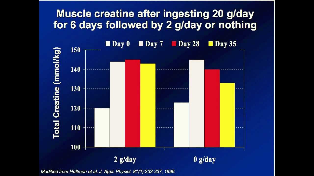 SEARCH AND BUY THIS PRODUCT Creatine Side Effects - Before and After - YouTube