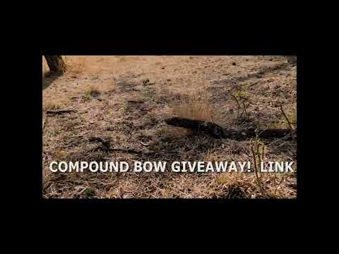 Video: Pawpaws Geyiklere Dayanıklı mı: Pawpaw Ağaçları ve Geyik Hakkında Bilgi Edinin