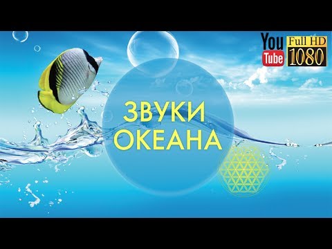 Смотреть клип 15 мин 🎵 Гамма Волны 🎵 Лучшая Лаунж Музыка для Релакса 🎵Спокойная Эмбиент Мелодия на Каждый День онлайн бесплатно в качестве Смотреть клип 15 мин 🎵 Гамма Волны 🎵 Лучшая Лаунж Музыка для Релакса 🎵Спокойная Эмбиент Мелодия на Каждый День онлайн бесплатно в качестве