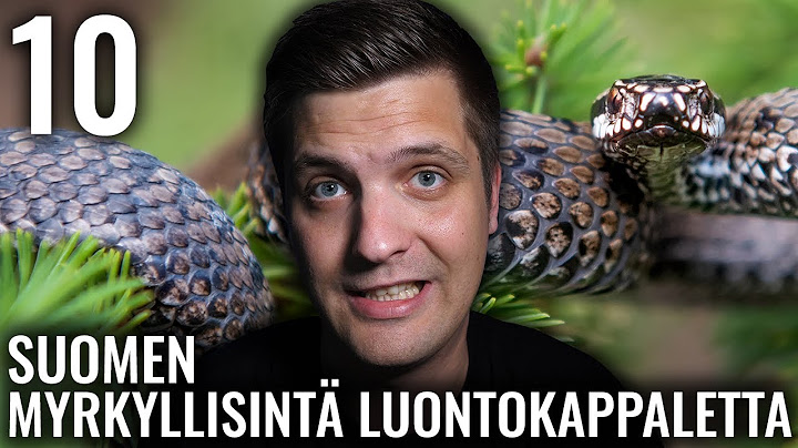 10 SUOMEN MYRKYLLISINTÄ ELÄINTÄ, KASVIA JA MUUTA LUONTOKAPPALETTA