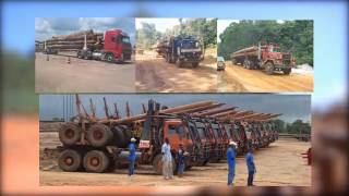 Timber Industry in Guyana