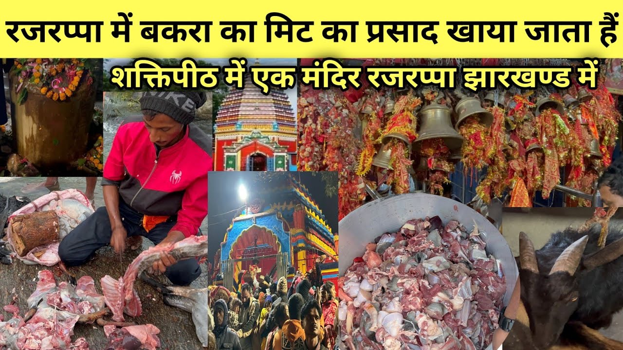 राजरप्पा में बकरा का मिट(mutton) का बनता है प्रसाद |बकरा का बाली चढ़ने के बाद भी सबसे बड़ा सक्तिपीठ|