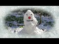 'The wrong kind of snow': John Sweeney investigates - BBC Newsnight