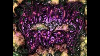 Amantia Virosa - Deviate