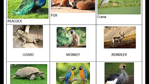 Up to 3: Zootah Scavenger Hunt