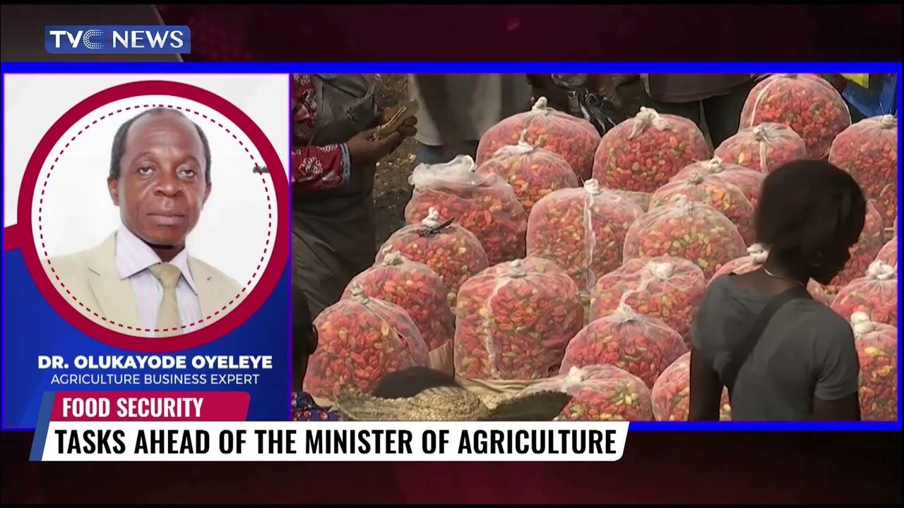 Agriculture Minister Should Be On the Field More To Revive Sector – Oyeleye
