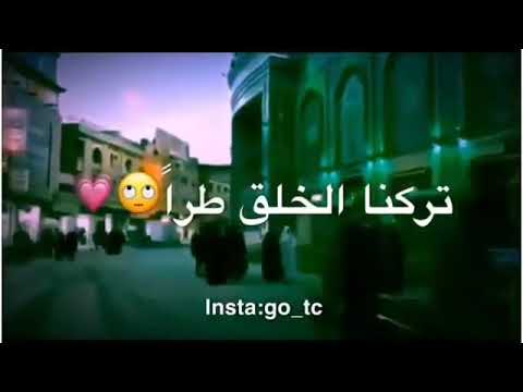 تركنا الخلق طرا باسم الكربلائي حالات واتس