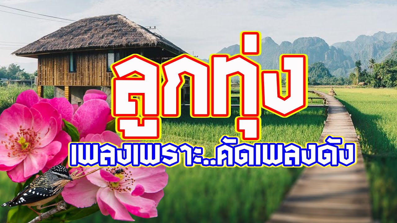 รวมเพลงลูกทุ่งเพลงเพราะคัดเพลงดัง