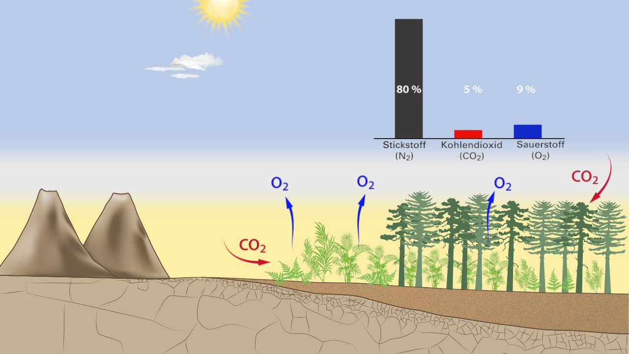 CO2-Gehalt in der Atmosphäre - YouTube