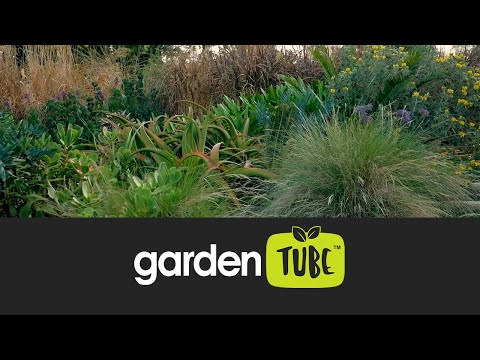 Grass garden inspo