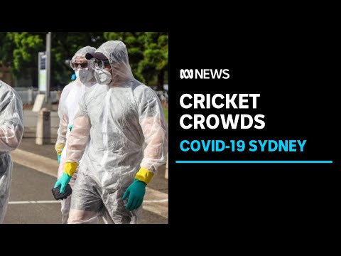 Cricket fans take extreme measures to stay COVID safe at SCG Test | ABC News