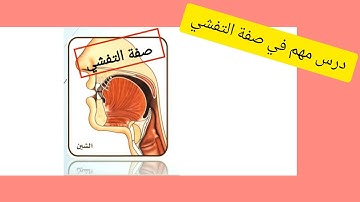 صفات الحروف تجويد صفة التفشي الصفات التي ليس لها ضد   لحرف الشين