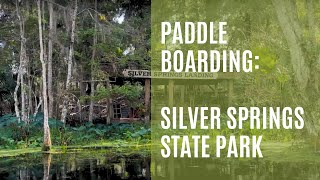 Paddle Boarding: Silver Springs State Park, FL