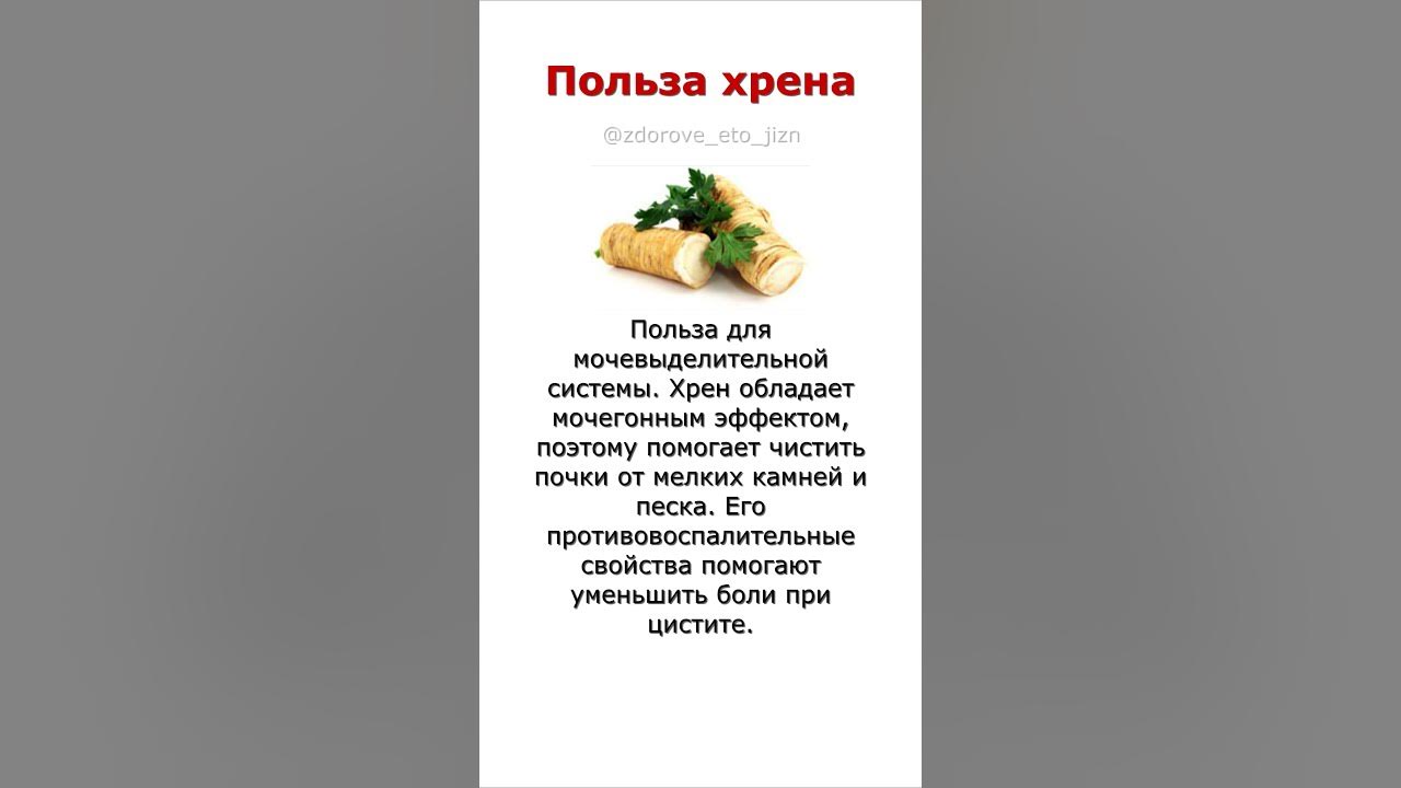 Польза хрена - YouTube