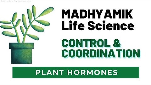 Madhyamik Life Science Chapter 1 Control and Coordination in living organisms  By Ramadan Tutorial