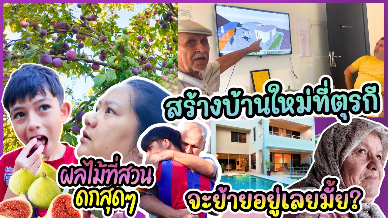 EP461 กลับมาก็ได้กินผลไม้เต็มสวนเดินกินกันสดๆจากต้น กำลังสร้างบ้านใหม่จะอยู่เองดีมั้ย
