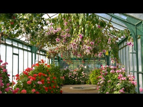 Royal Greenhouses Of Laeken (Belgium)/Королевские оранжереи. Лакен, Брюссель