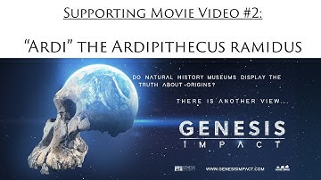 Genesis Impact Support Video 2 | "Ardi" The Ardipithecus Ramidus