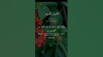 سورة الانفال آيه ٦٤ #quran #القرآن_الكريم#العراق #مصر #الجزائر #المغرب #السعودية #اكسبلور #اكسبلور