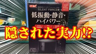 【アクアリウム】追加報告！2500Sの実力に興奮！