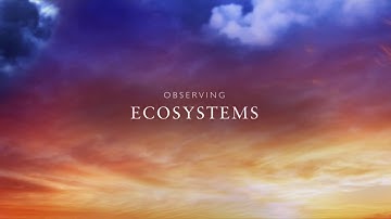 Ecosystems/Financial Literacy