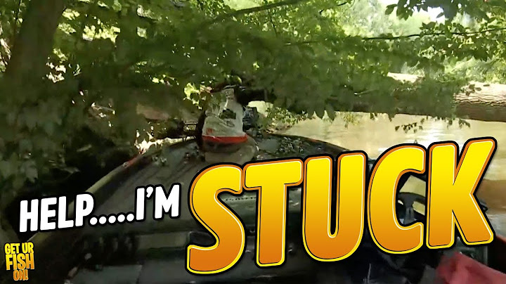 Angler GETS STUCK Under Tree During MLF Invitational on James River