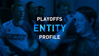 Playoff Profiles - Entity