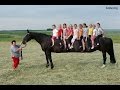 WORLD'S LONGEST HORSE FOUND ON EARTH