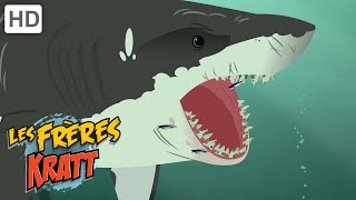 Les Frères Kratt |Coincé Sur Les Requins| Saison 1