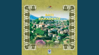 Ada Yolu Kestane