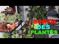 La sortie des plantes 2024