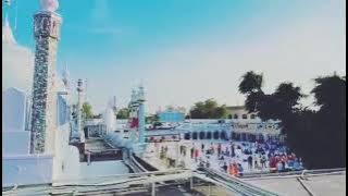 #Mauj Teri Saiyaan ❤️ //Whatsapp Status // View // Dera Baba Murad Shah Ji Darbar// Nakodar