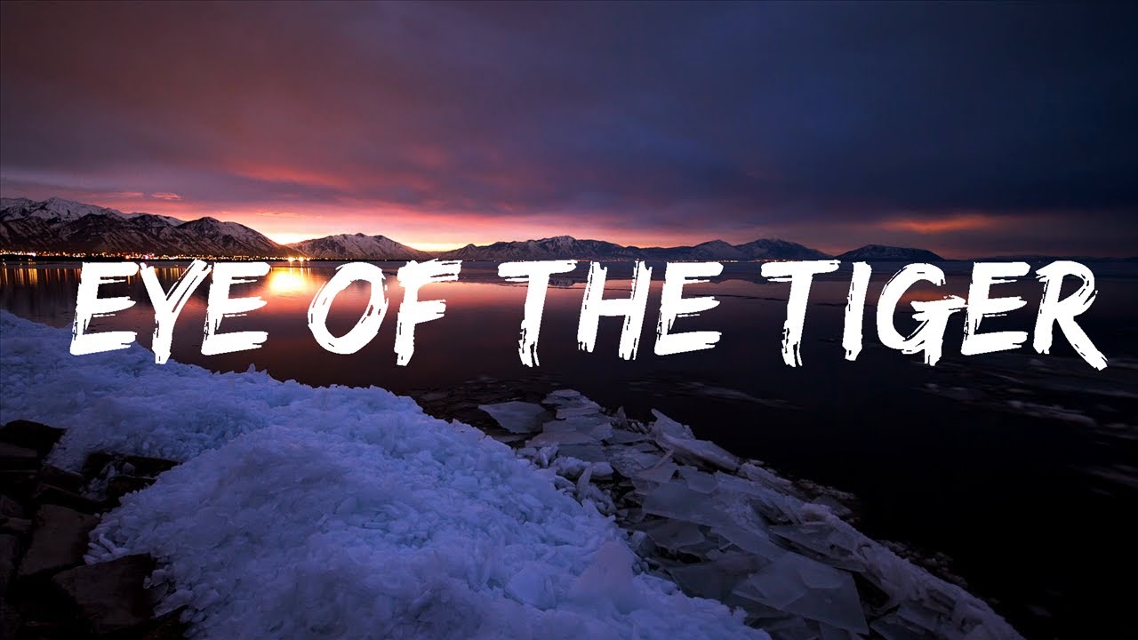 eye of the tiger songtext