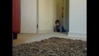 Capture 20121108
