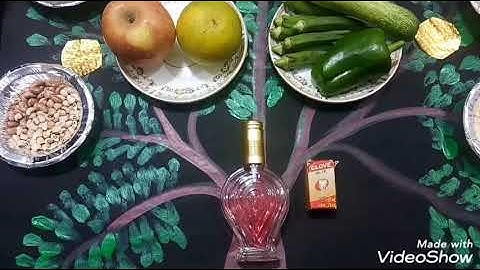 Class 3 EVS Chapter-12 (Activity)