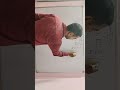 Live highlight