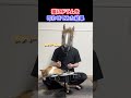 猫にドラムを叩かせてみた結果 #shorts #猫 #猫のいる暮らし
