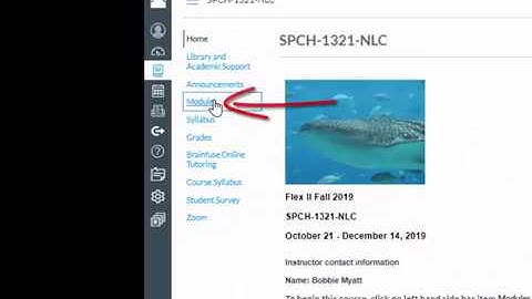OLRN-0001: Course Organization: Modules