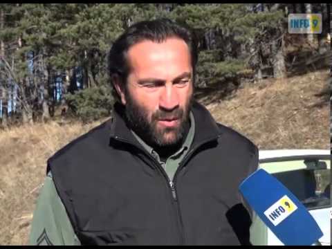 ბორჯომი რეიდი ტყეში