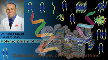 Rakez Kayed (August 11, 2020) - ZOOMinar on Proteinopathies