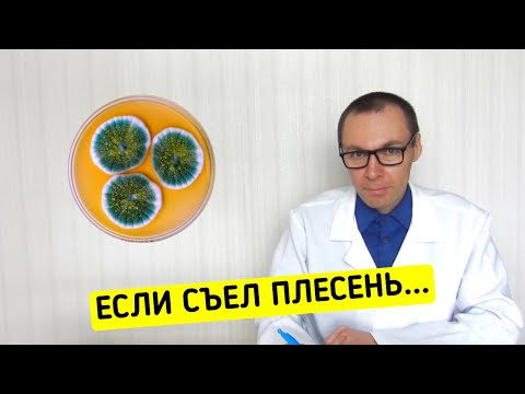 Если случайно съел ПЛЕСЕНЬ - что будет?