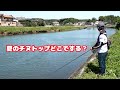 チヌトップの座学～チヌのいる川・場所の性質～