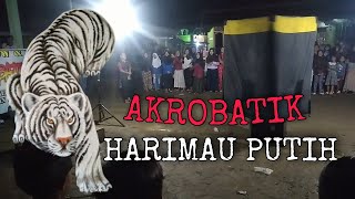 MAGIC SHOW & TELEPATI || AKROBATIK MAUT HARIMAU PUTIH!