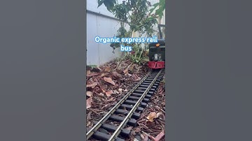 Organic Designzz Rail bus organic express