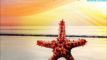 Red Starfish Beach PowerPoint Templates Themes And Backgrounds ppt themes