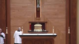 2026 March 3 Tues 12:05 pm Catholic Mass
