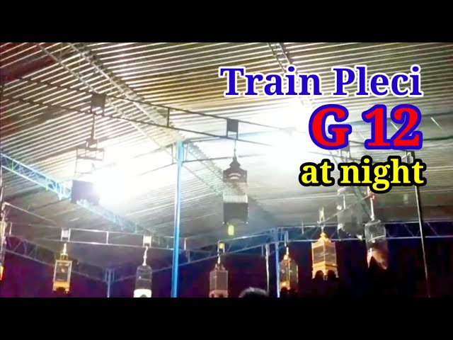 Train Pleci G12 at night, add more mental pleci fighter class=
