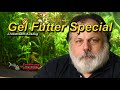 MEINE ALLEINFUTTER - Gel Futter Special Mp3 Song